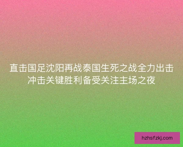直击国足沈阳再战泰国生死之战全力出击冲击关键胜利备受关注主场之夜