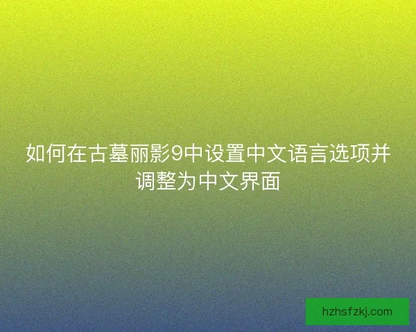 如何在古墓丽影9中设置中文语言选项并调整为中文界面